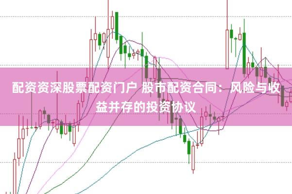 配资资深股票配资门户 股市配资合同：风险与收益并存的投资协议