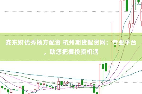 鑫东财优秀杨方配资 杭州期货配资网：专业平台，助您把握投资机遇