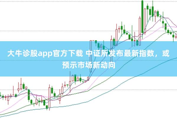 大牛诊股app官方下载 中证所发布最新指数，或预示市场新动向