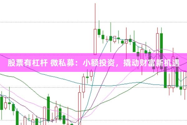 股票有杠杆 微私募：小额投资，撬动财富新机遇