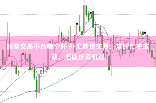 股票交易平台哪个好 外汇期货交易：掌握汇率波动，把握投资机遇