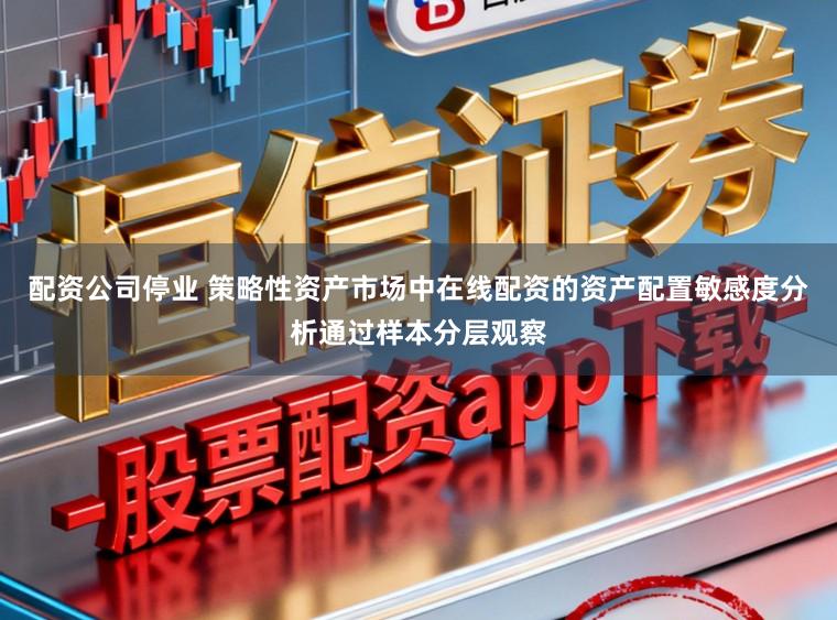 配资公司停业 策略性资产市场中在线配资的资产配置敏感度分析通过样本分层观察